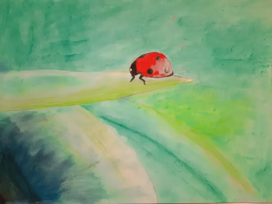 Curso de dibujo y pintura para adultos