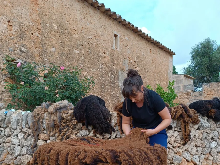La metamorfosis del vellón: crear con lana de oveja mallorquina