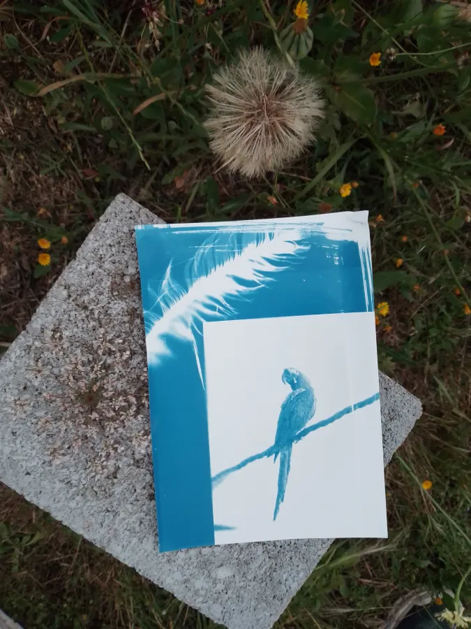 Foto de Studio Feliz Blau (Miriam Otte) (2 de 6)