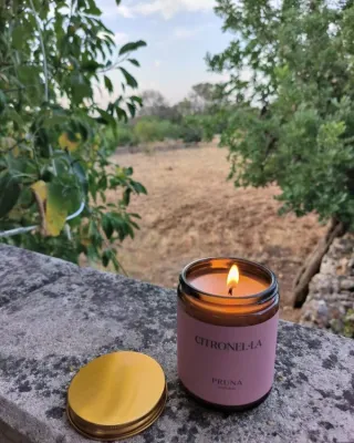 Foto de Pruna Natural (6 de 8)