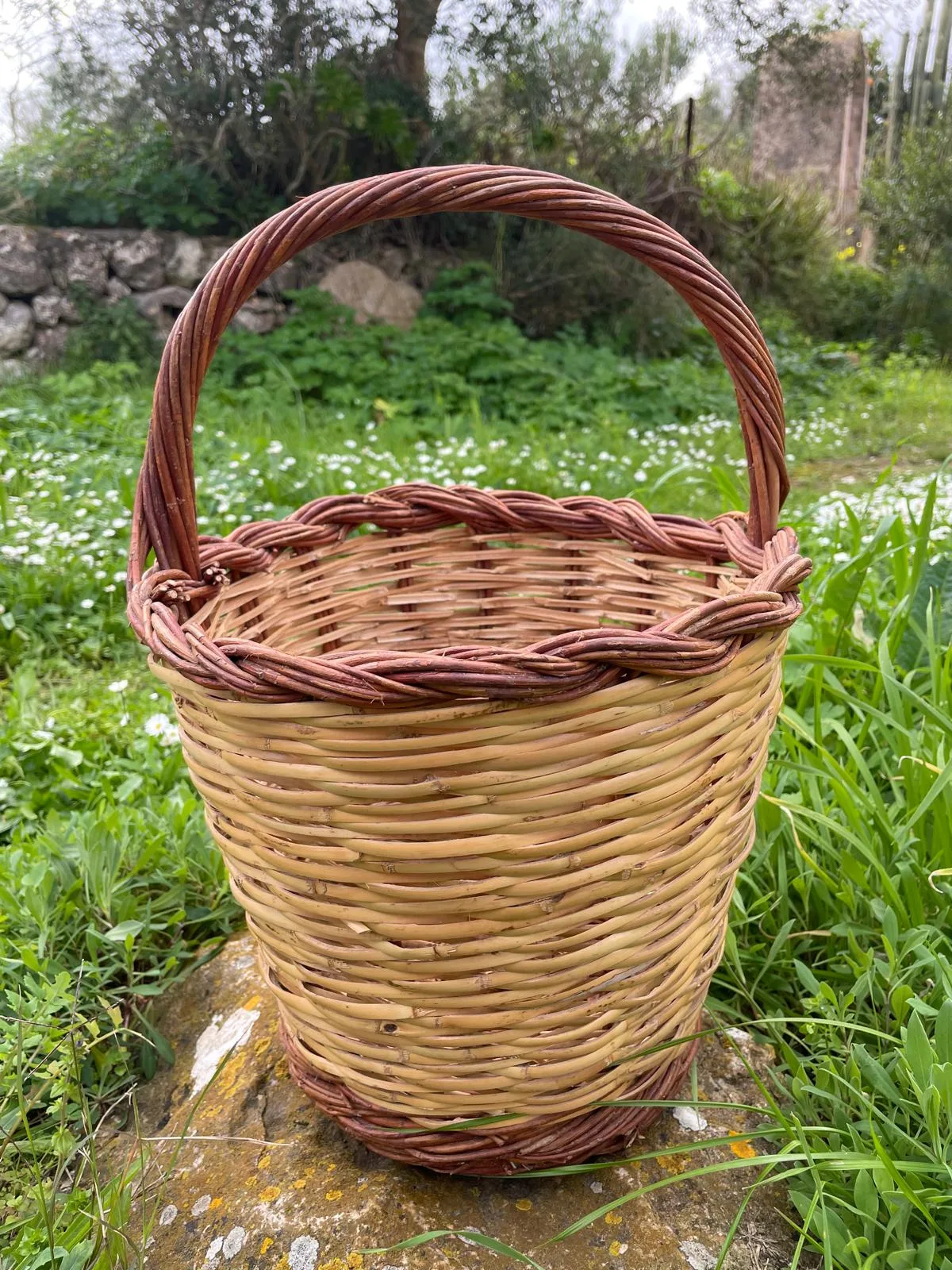 Curso de cestería: cesto de mimbre